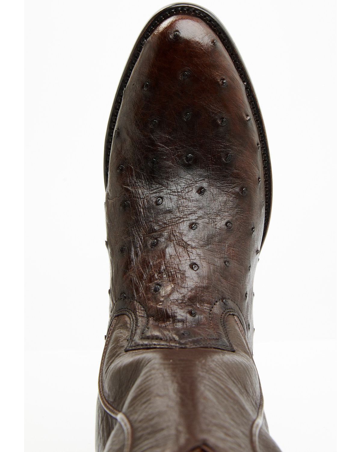 Cody James Black 1978® Men's Chapman Exotic Full-Quill Ostrich Western