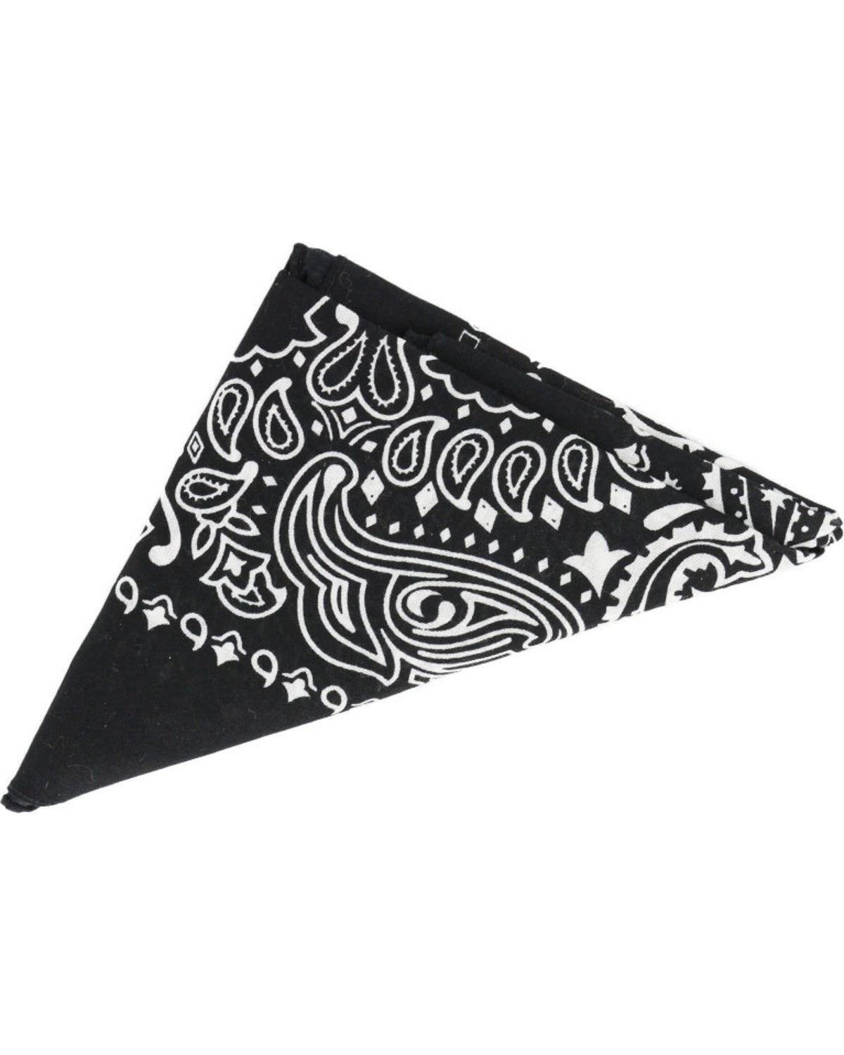 Cody James Men's Western Bandana