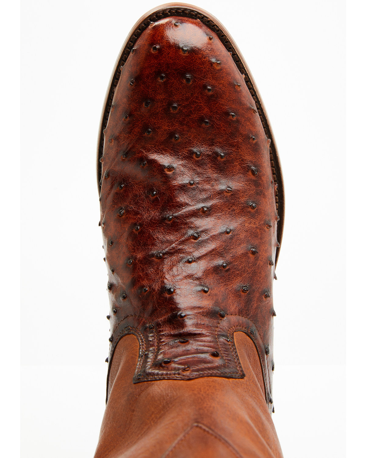Cody James Black 1978® Men's Carmen Exotic Full-Quill Ostrich Roper Bo